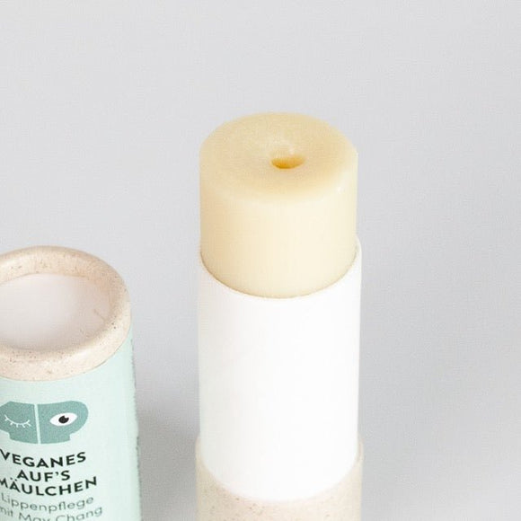 Lippenbalsam plastikfreiBlattwende
