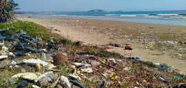 10 Tipps um den Plastikmüll im Meer zu reduzieren - Blattwende