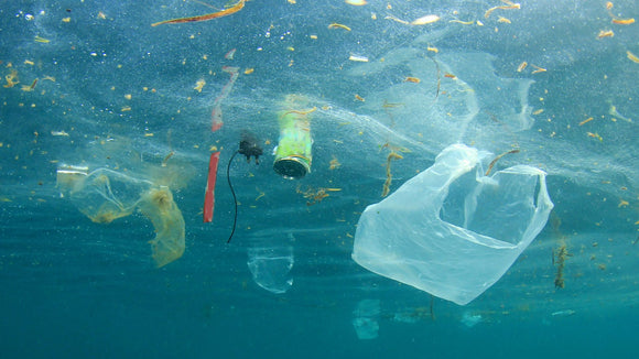 Hat der Müll im Meer auch was mit uns zu tun?