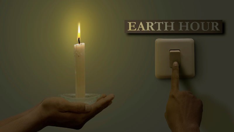 Earth Hour - in einer Stunde die Welt retten?! - Blattwende