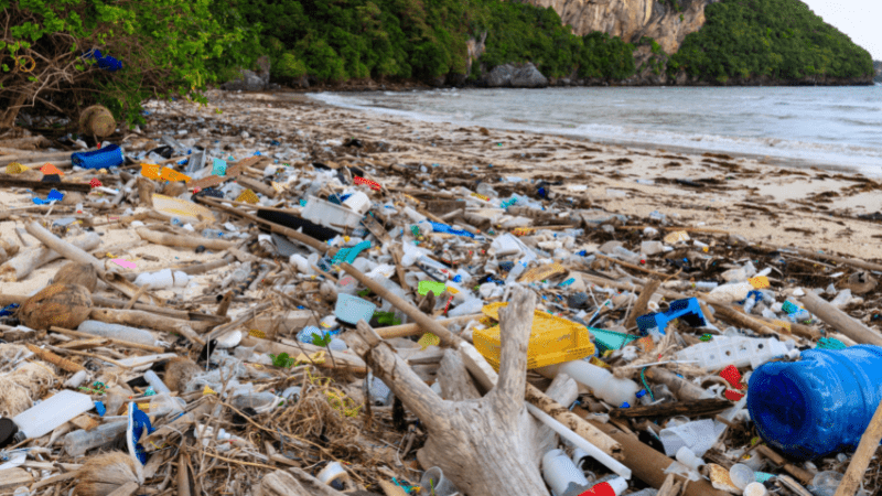 Plastikfasten - 10 einfache Tipps um Plastik zu sparen - Blattwende