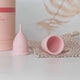 Menstruationstasse verschiedene GrößenBlattwende